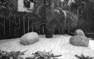 Nuvo Landscape Design